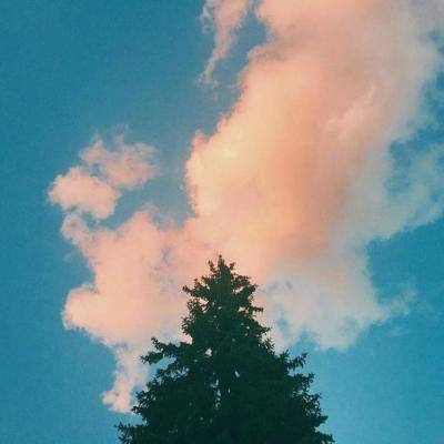 NG体育APP官方下载网址手机app下载截图