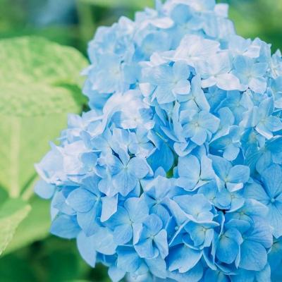 乐发彩票APP下载